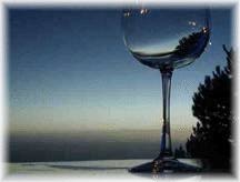 Empty Wine Glass