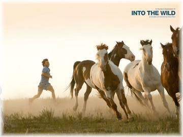 Into the Wild with Horses