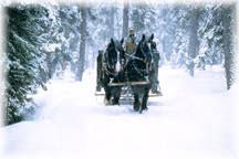 Sleighride through snowy wonderland