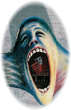 Pink Floyd - The Wall