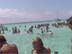 Stingray City Off Grand Cayman Island